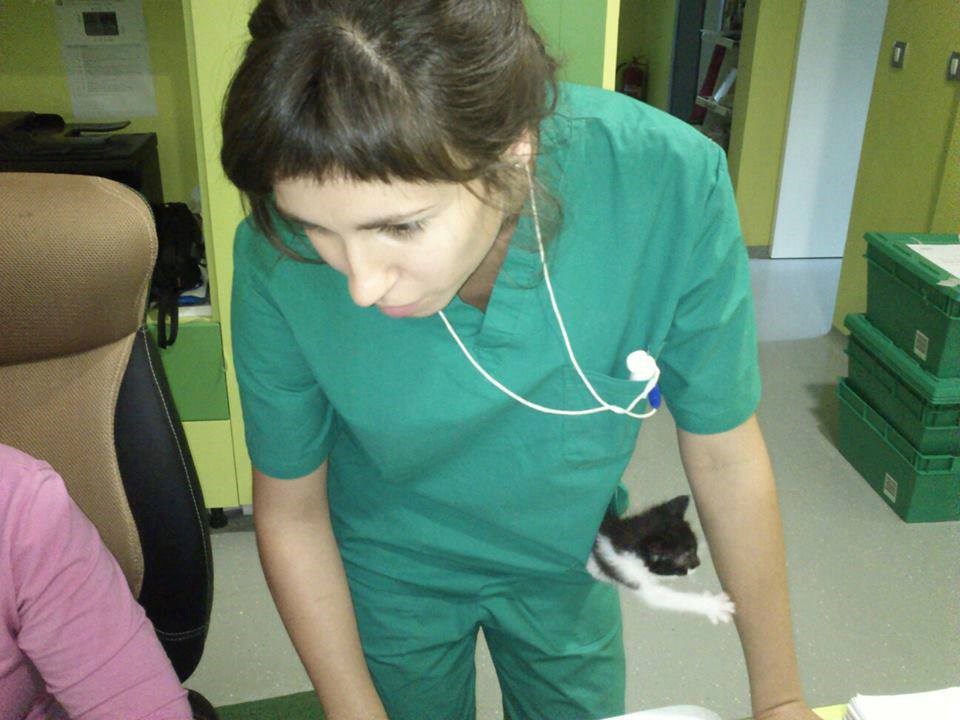 Jesam te! To ti je za onu pikicu s cjepivom od maloprije!