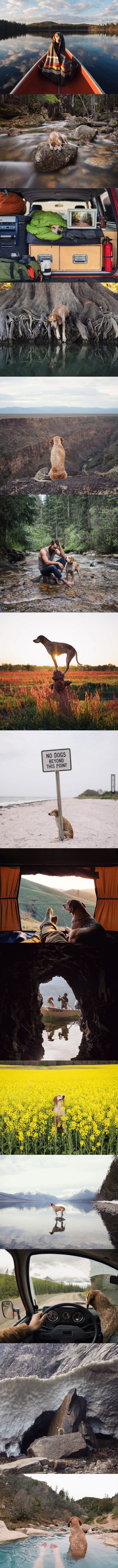 Poveo psa u avanturu života, dugouško vidio cijeli svijet!