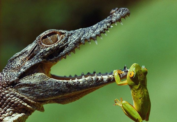 Kad malo bolje pogledam, imaš karijes na trojki desno!