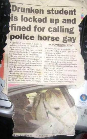 Nikad ne vrijeđaj policijskog konja