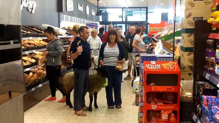 VIDEO Kupce je u supermarketu dočekalo neobično iznenađenje, ovog gosta nitko nije očekivao!