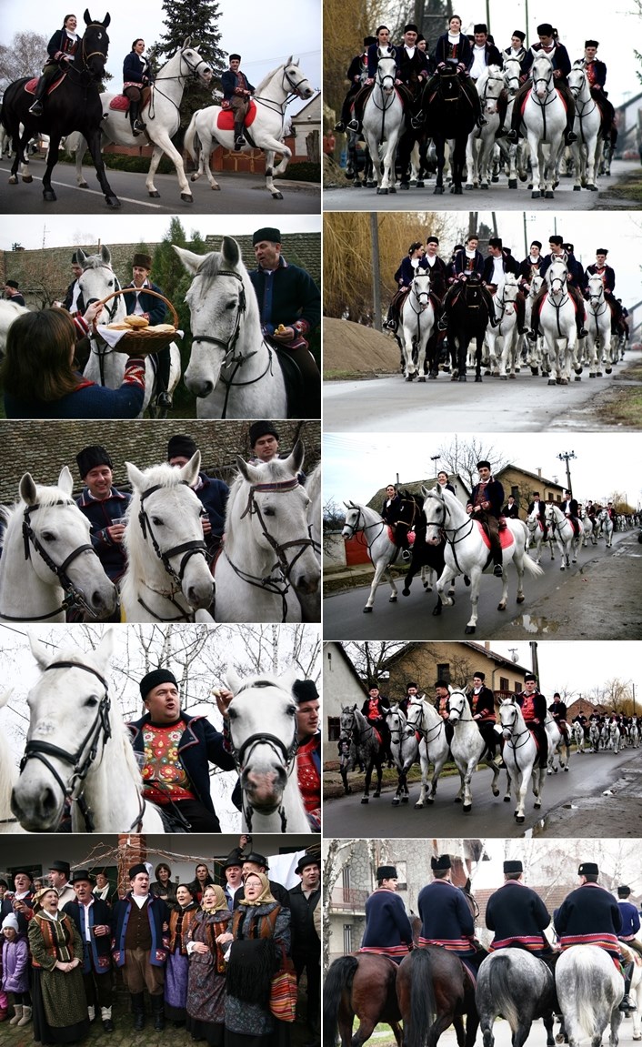 Ponosi se Slavonijo...