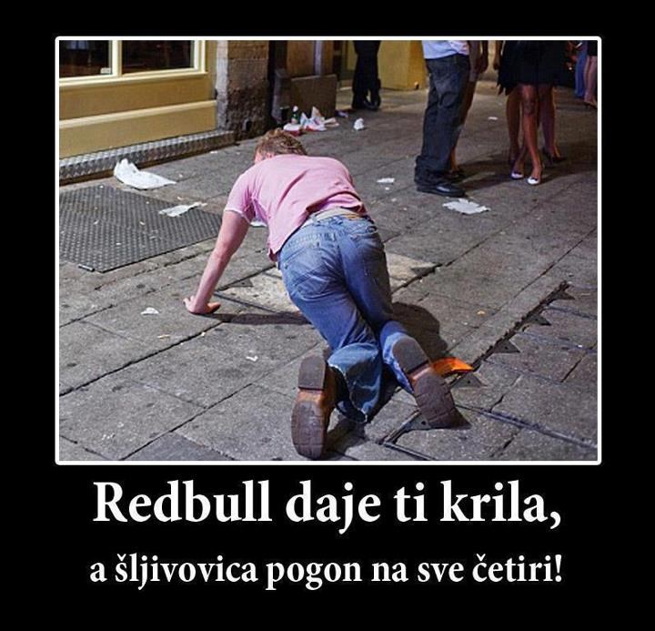 Rakija učinkovitija od Red Bulla?