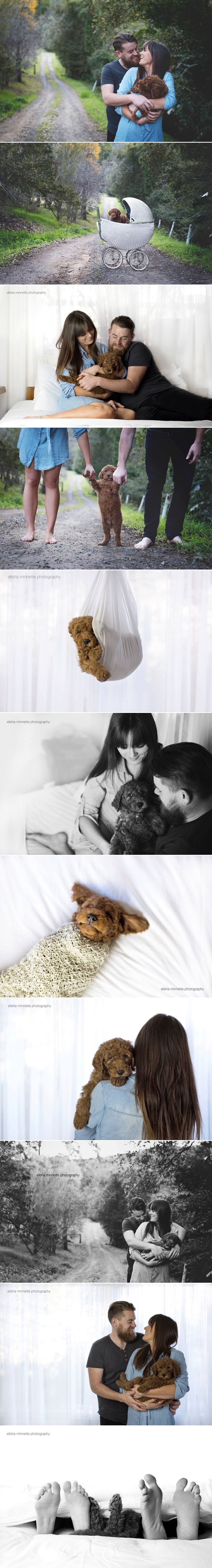 GALERIJA: Dodijavali im s pitanjima o bebi, pa nabavili psa i slikali se s njim