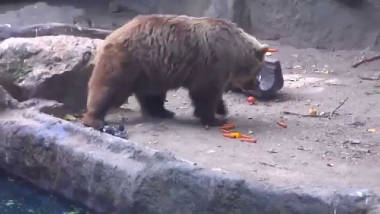 VIDEO: Spas u zadnji čas