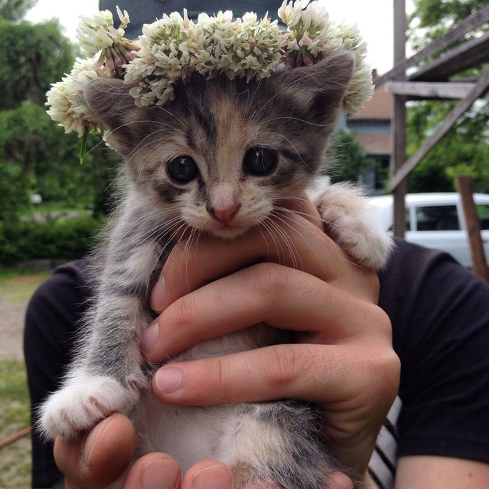mala princeza..:))