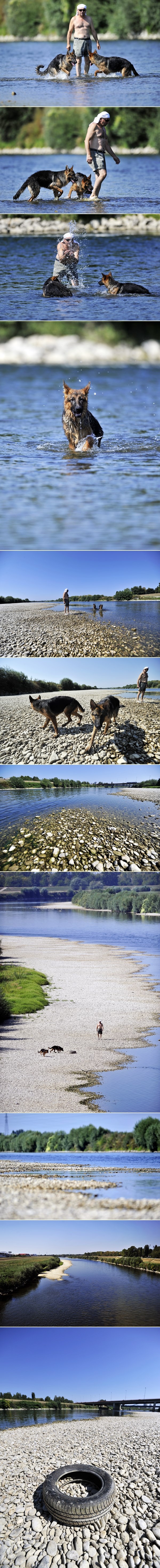 Psi potražili osvježenje u Savi i uživali u igri s gazdom