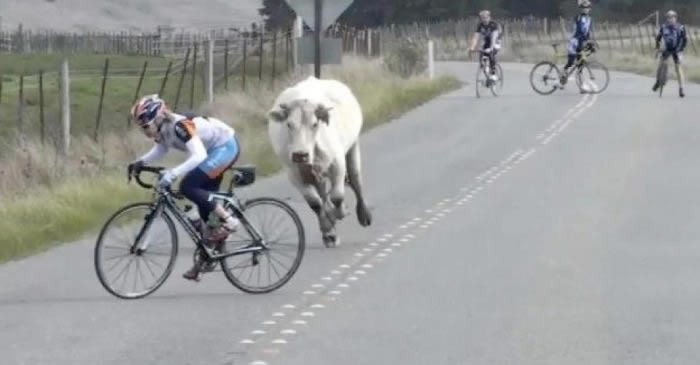 Ako si najbrži zbog straha za život, jel i to doping?