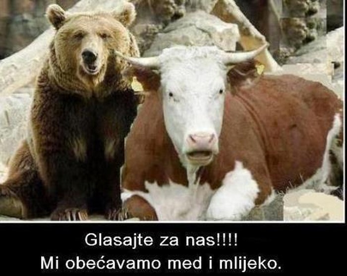 Političari iz snova: Dali obećanje koje mogu ispuniti