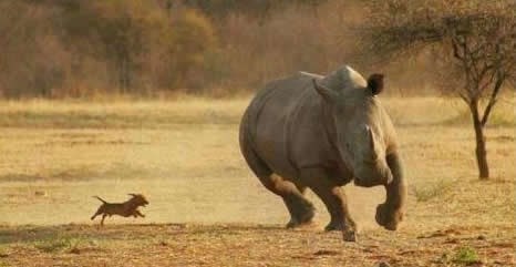 Ništa nije nemoguće - sve je u stavu