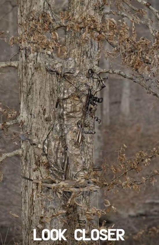 Što vidiš na slici?