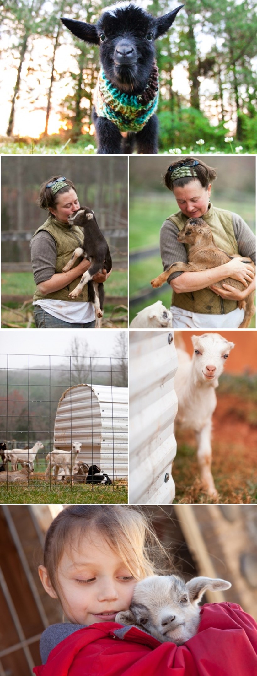Farma traži radnike za najljepši posao na svijetu!