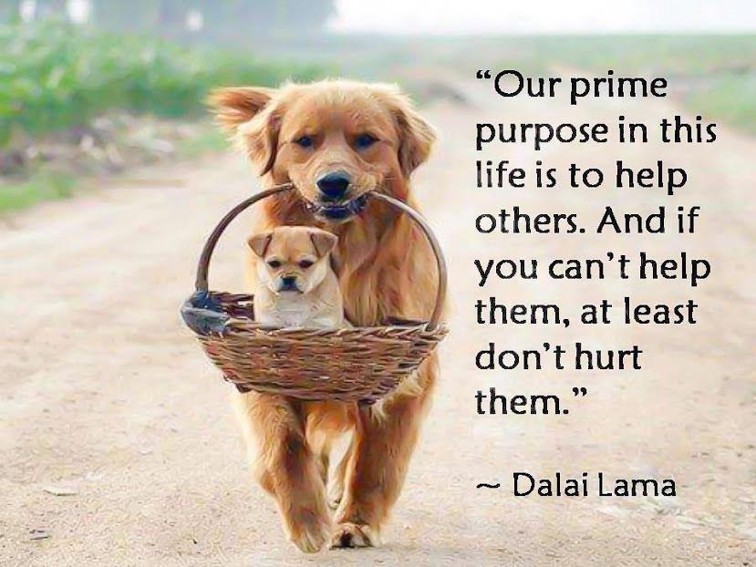 Ako već ne želiš pomoći, barem ne odmaži