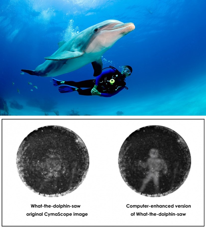 OTKRIĆE GODINE: Uhvaćena slika kako dupini vide eholokacijom!