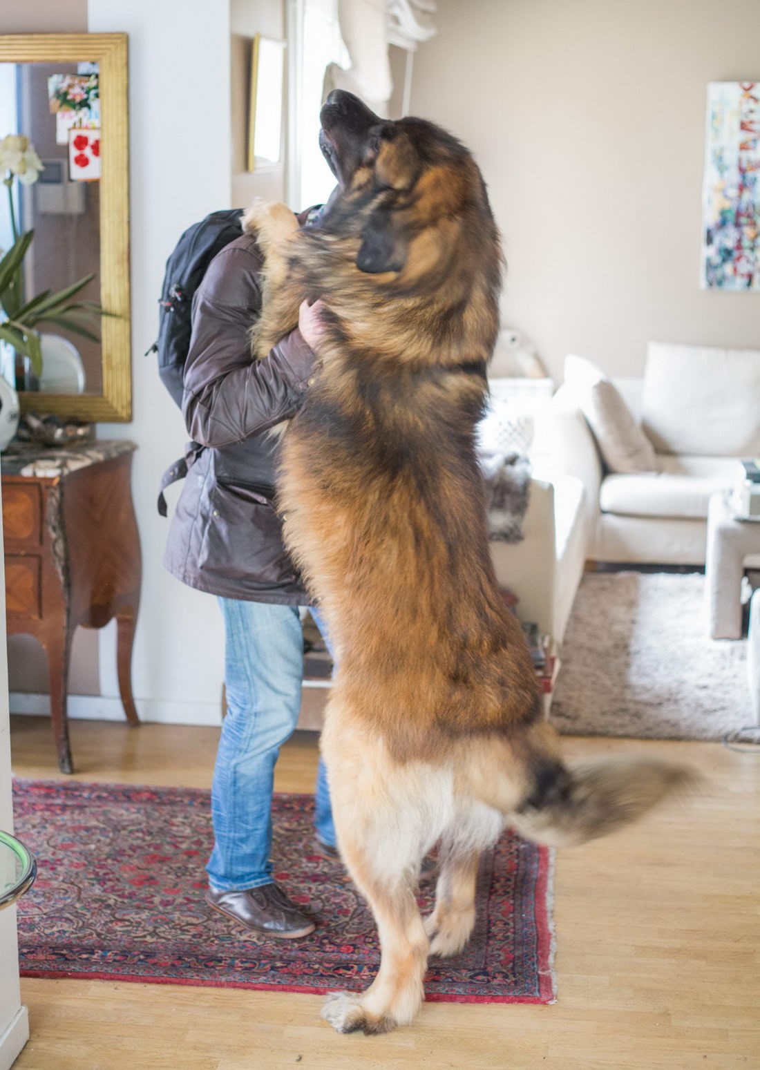 Prijatelju, ulovio sam ti slona dok te nije bilo!