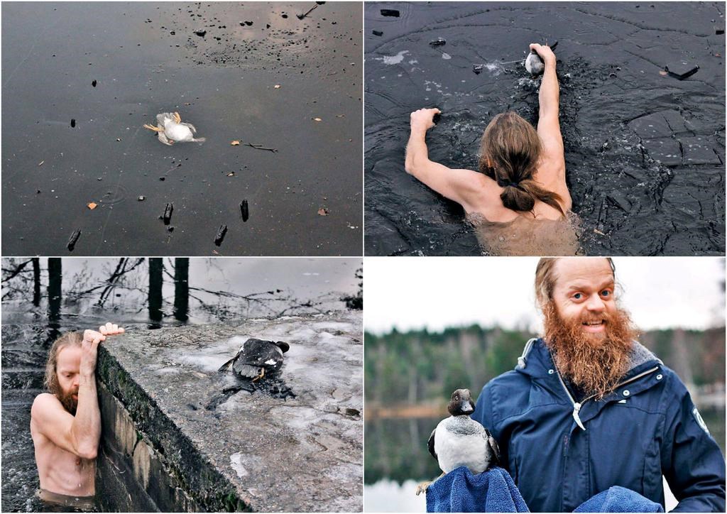 Riskirao život pod ledom - zbog patkice