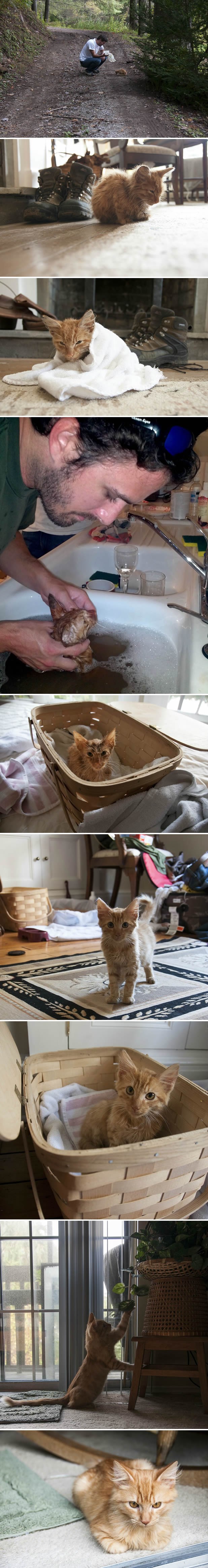 Spašavanje napuštenog, izgladnjelog micana iz šume