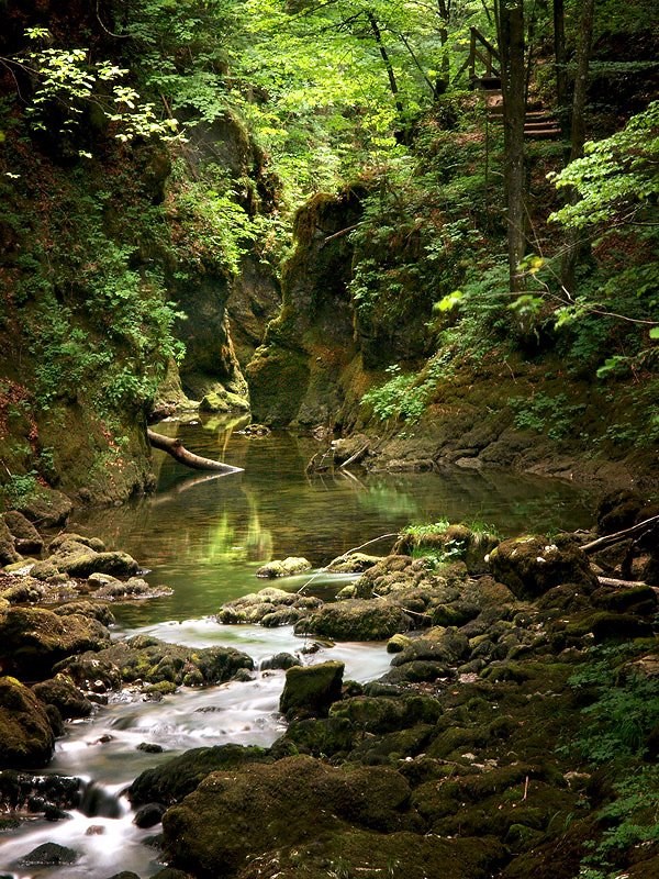 Ljepote Hrvatske: Bajkoviti kanjon u srcu Lijepe naše