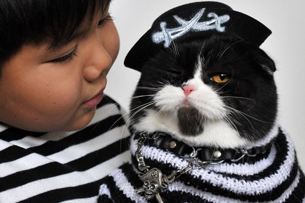 Mačak gusarski kapetan i mali od palube