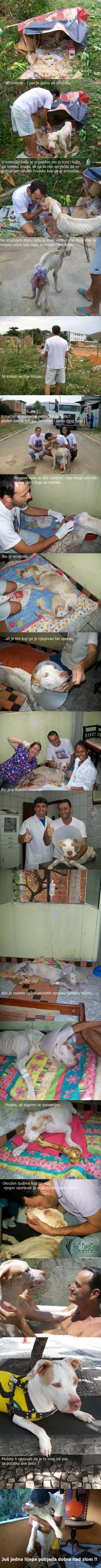 Galerija: Osjećate li onaj bijes iznutra kad vidite nepravdu i bol? Ovo je ipak happy end..