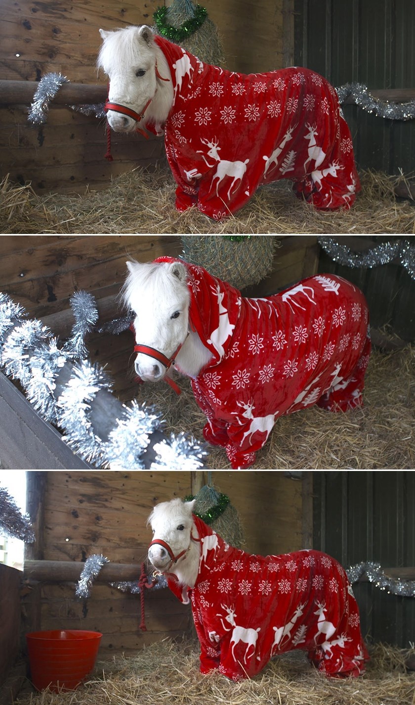 Blagdanska pidžamica za ponija toliko je medena da boli!