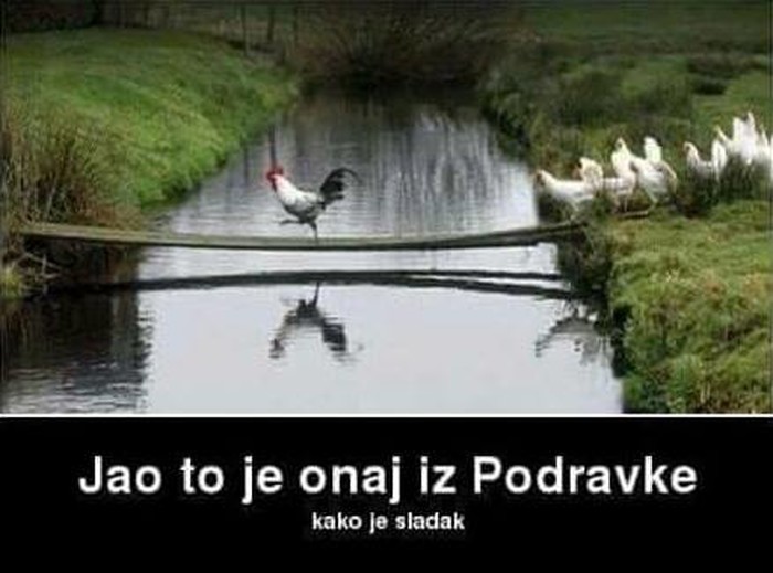 frajer iz podravke