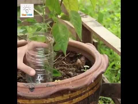 Zanimljive ideje kako stare plastične boce upotrijebiti na koristan način