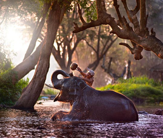 Presretni slon na jutarnjem kupancu sa svojim čovjekom