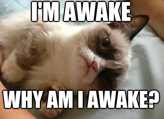 Jutarnje gunđanje mrzovoljnog mačka