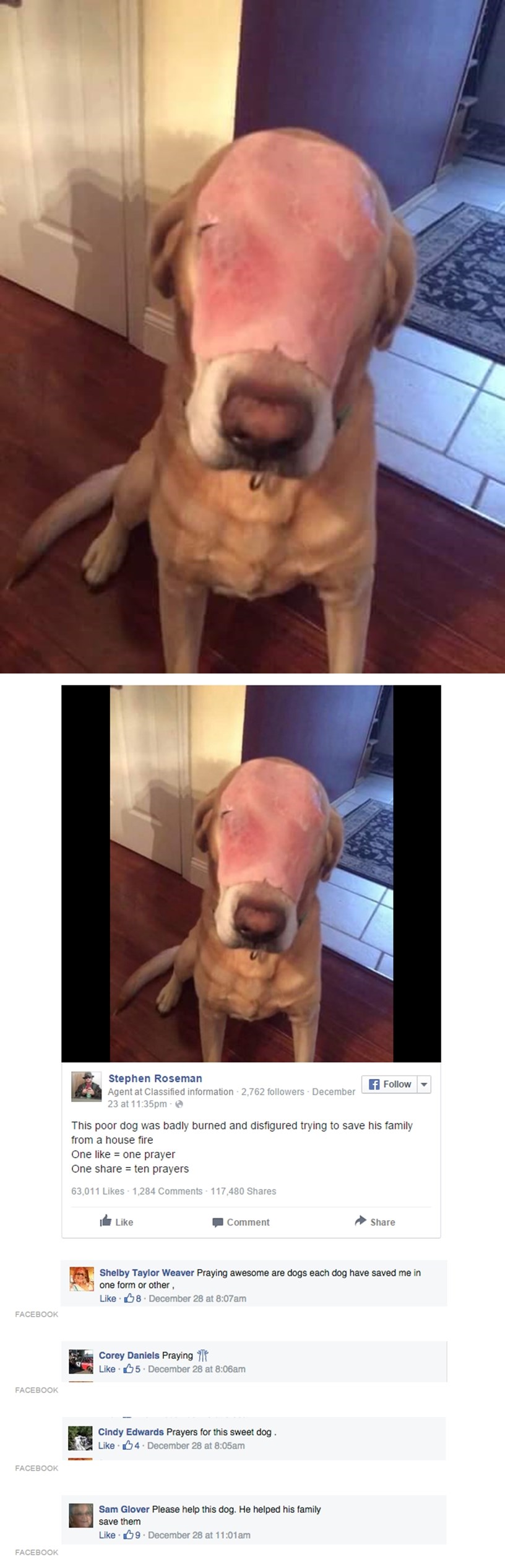 Internet moli za spas teško opečenog psa koji je spasio obitelj iz požara