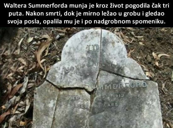 Neće grom u koprive, ali očito mu je jadni Walter bio drag