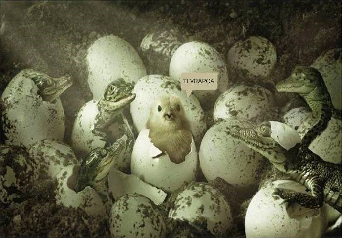 Misli da je u nevolji...