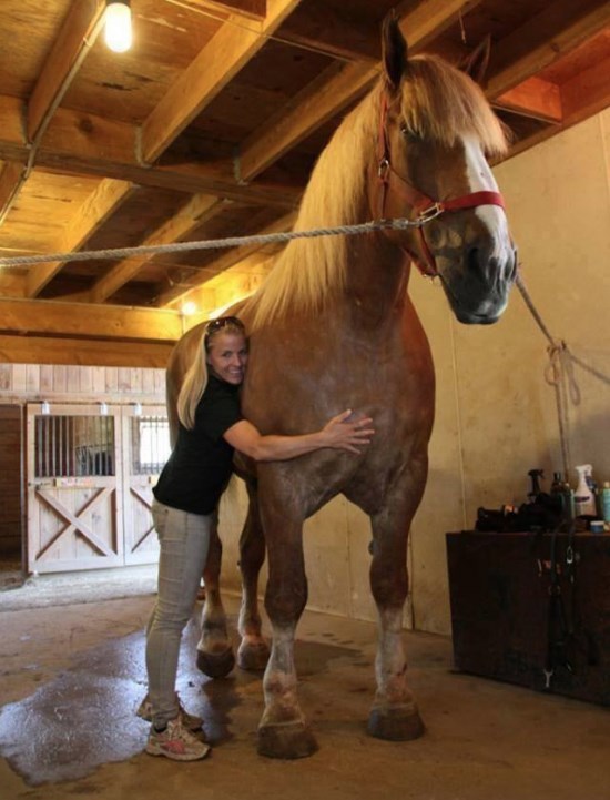 Djevojka i njen omiljeni.. dinosaur??