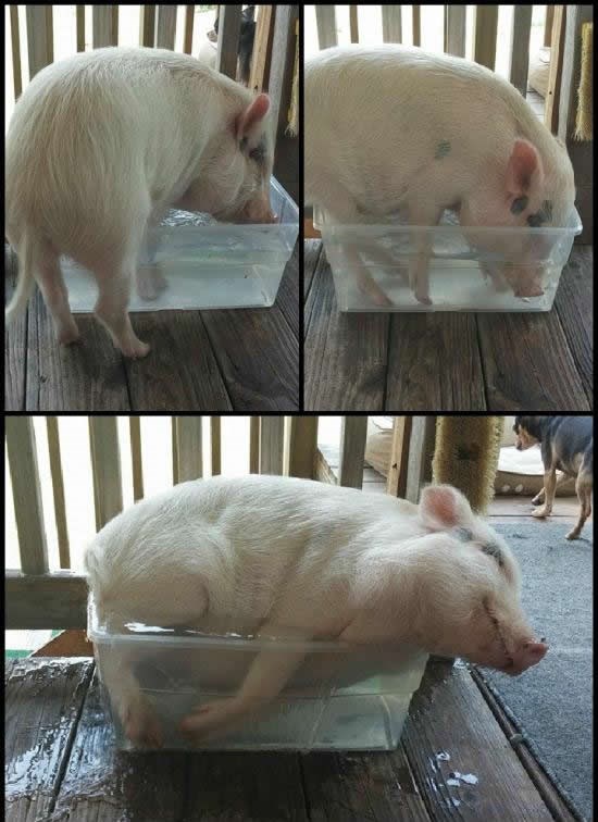 Ovako se provodi sparna nedjelja