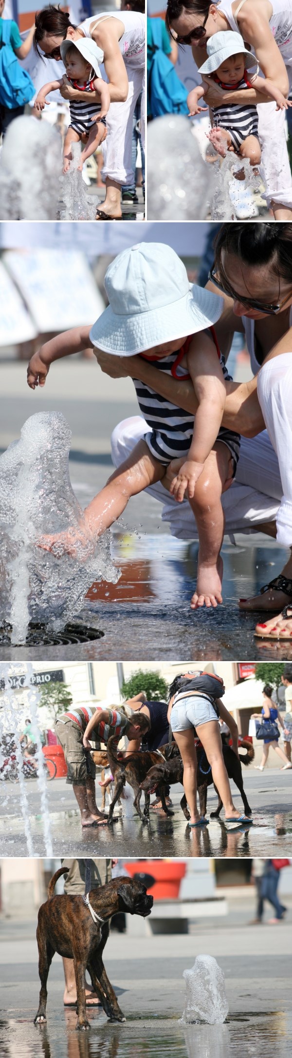 Vrućine u Osijeku: Preslatki bebač i psi hlade se u fontani