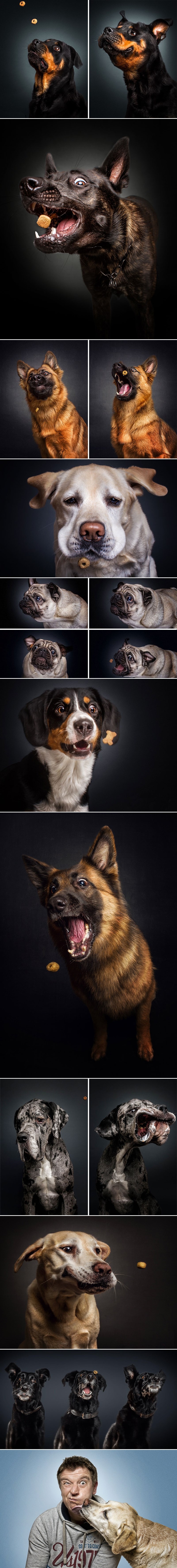 Uhvatio proždrljivce u trenutku kad pokažu pravo lice!