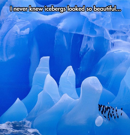 Sve ćemo ovo uništiti zbog lijenosti i pohlepe?