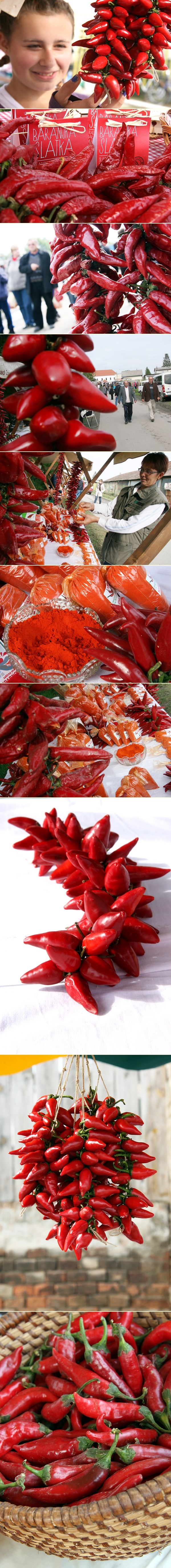 Paprika festival u Lugu kraj Osijeka