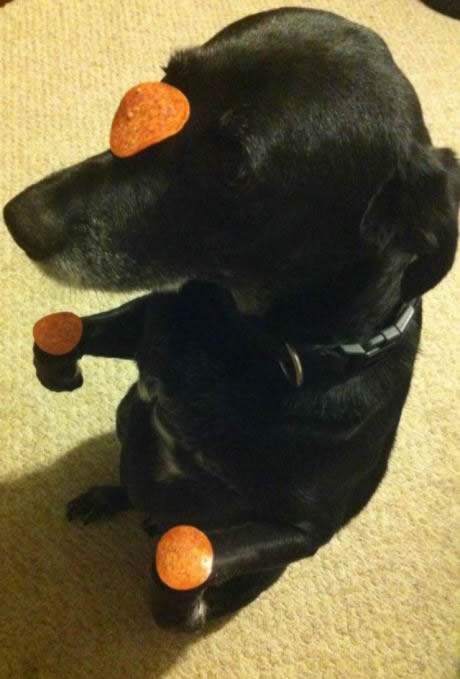 Napravit će apsolutno SVE za božanski hrskavi čipsić