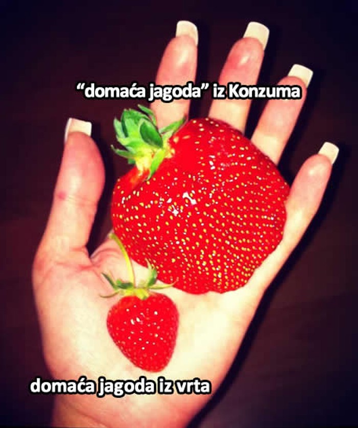 Jagode jesti mesarskim nožem: Čime hrane jagode iz Konzuma?