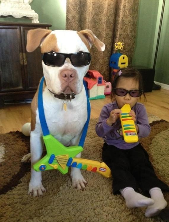 Klinka i pas oformili rock bend