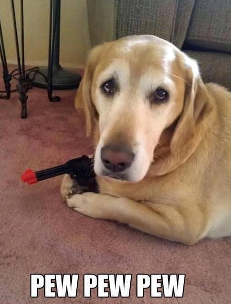 Sorry Žućo, al nikad od tebe akcijska zvijezda