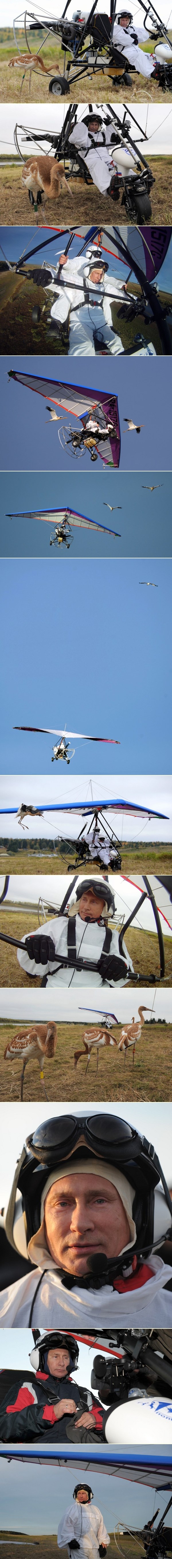 Vladimir Putin u letačkoj avanturi, dobio i ptičje društvo