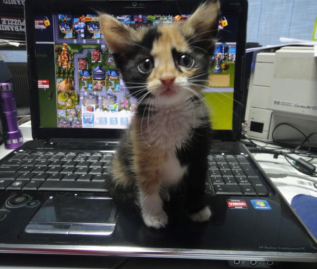 Stane ti knedla u grlu: Draže su ti igrice od moje malenkosti?