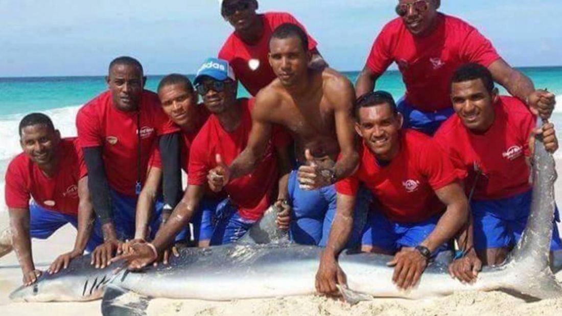 Hrpa idiota ubila morskog psa zbog selfija