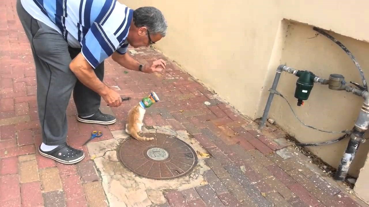 VIDEO Išao je baciti smeće, pa je ugledao jadnu mačku s glavom u konzervi!