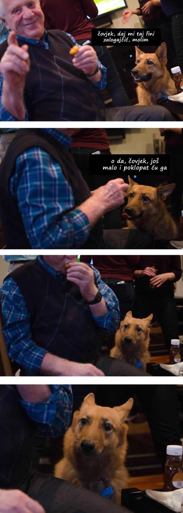 Galerija: Razočarani pseći pogled koji slama srce