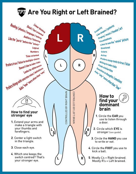Saznaj koji dio mozga koristiš