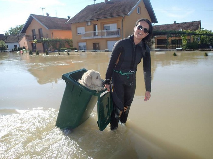 Dobra teta spasiteljica ga provozala na sigurno u kanti