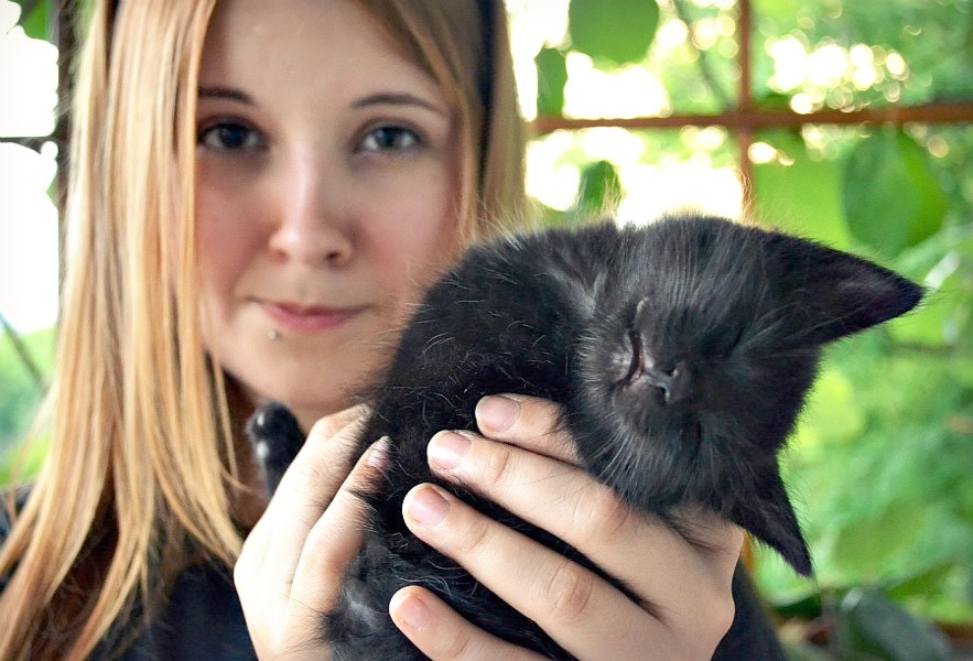 Umorna maca zaspala usred fotkanja